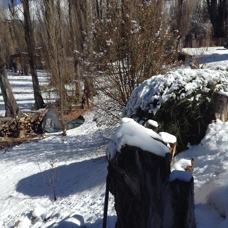 Mil Piedras Cabins Potrerillos Exterior photo